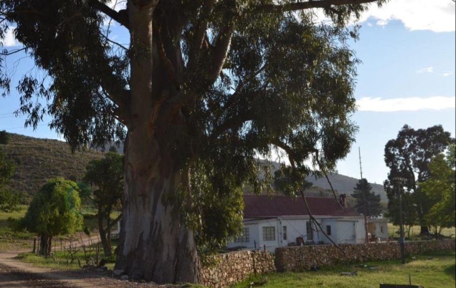 Commercial Property for Sale in Avontuur Western Cape